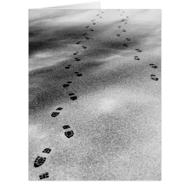 Abdrücke im Schnee (Vorderseite)