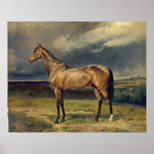 Abdul Medschid das arabische Pferd der Kastanie, Poster