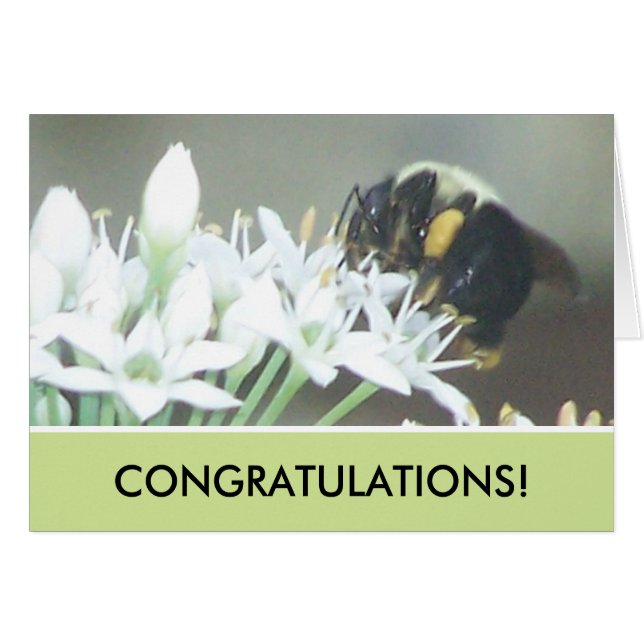 Abee (Devant horizontal)