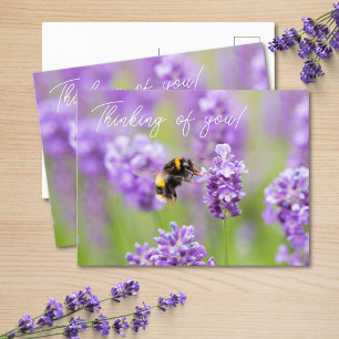 Abee Sur Lavender Penser À Vous Carte Postale