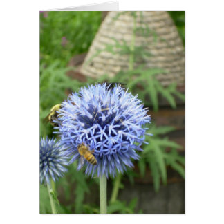 Abeille