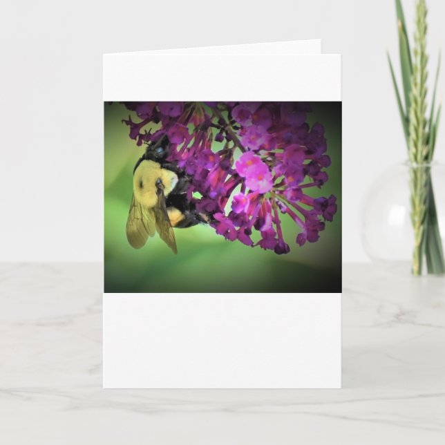 Abeille, carte (Devant)