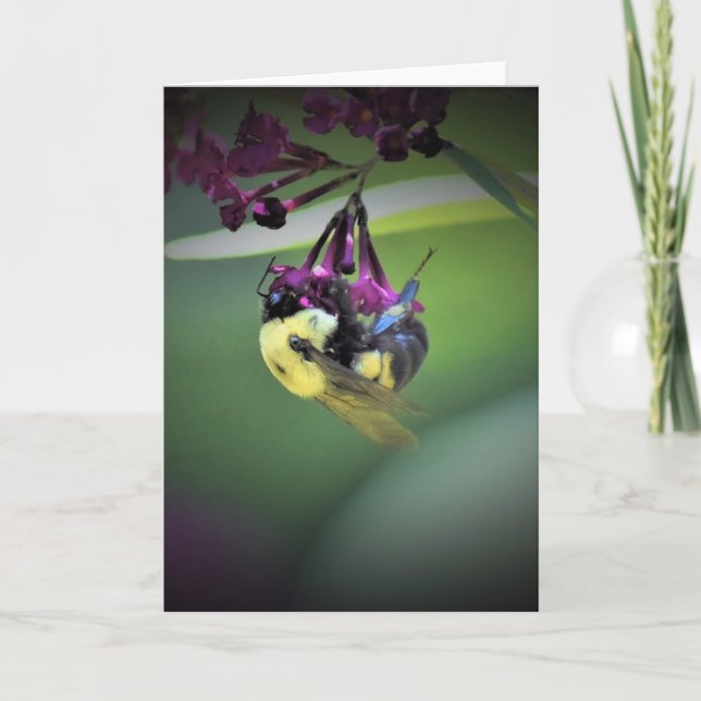 Abeille, carte (Devant)