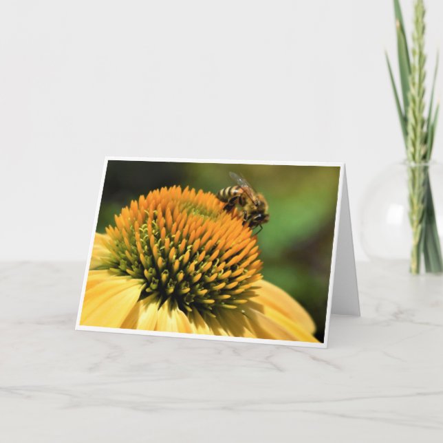 Abeille, carte (Devant)