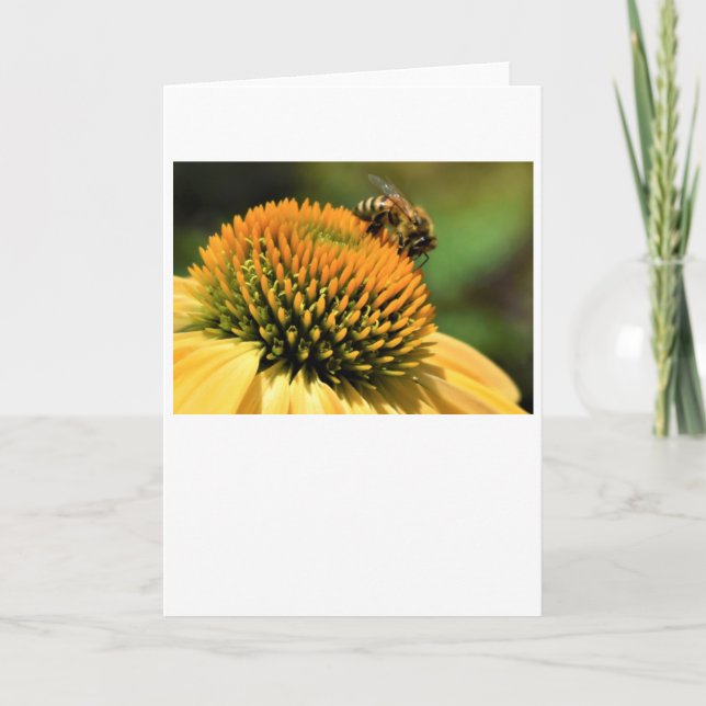 Abeille, carte (Devant)