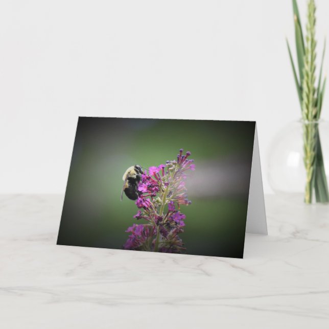 Abeille, carte (Devant)