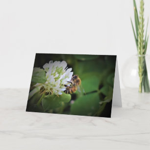Abeille, carte