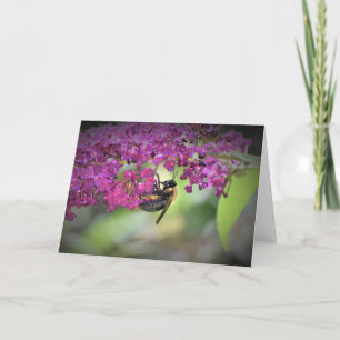 Abeille, carte