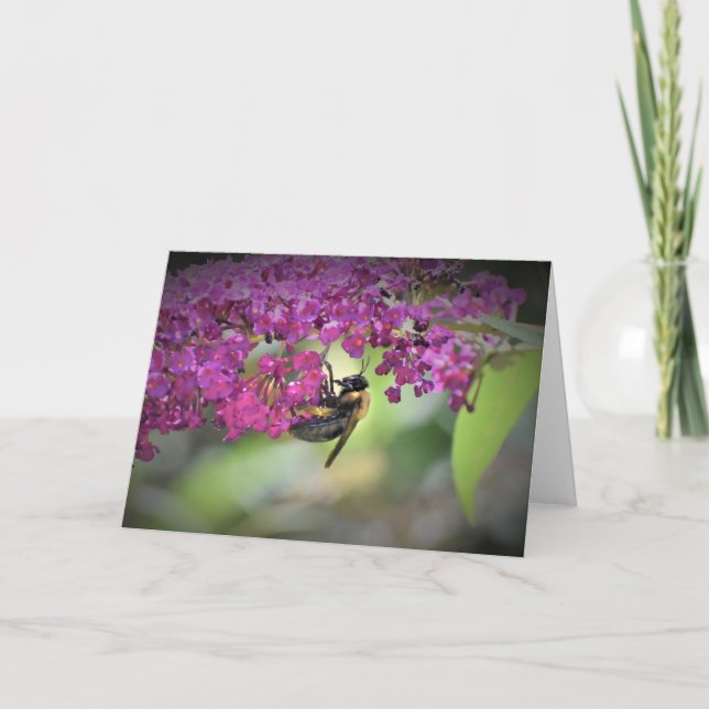Abeille, carte (Devant)