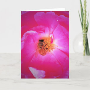 Abeille, carte