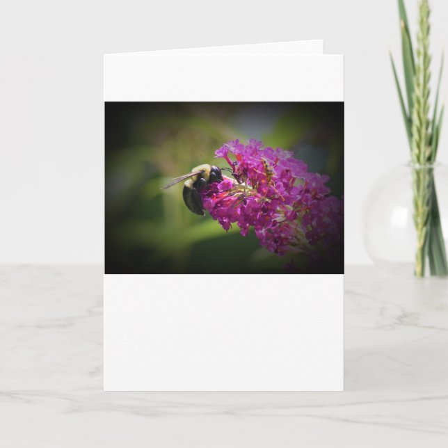 Abeille, carte (Devant)
