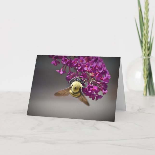 Abeille, carte (Devant)