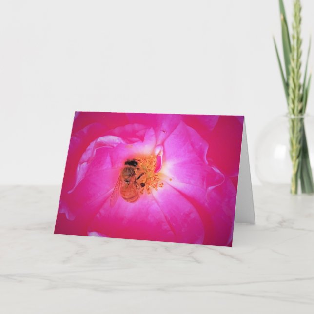 Abeille, carte (Devant)