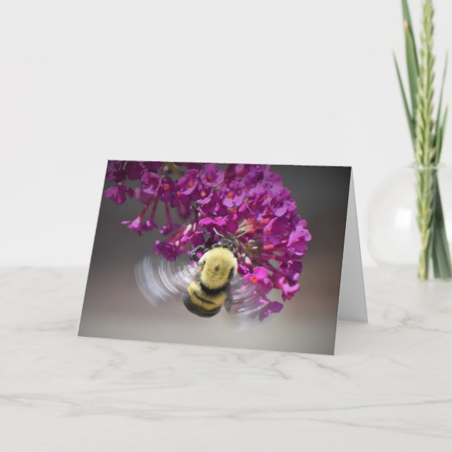 Abeille, carte (Devant)
