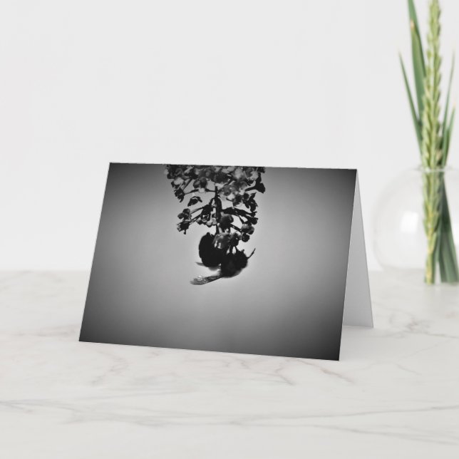 Abeille, carte (Devant)