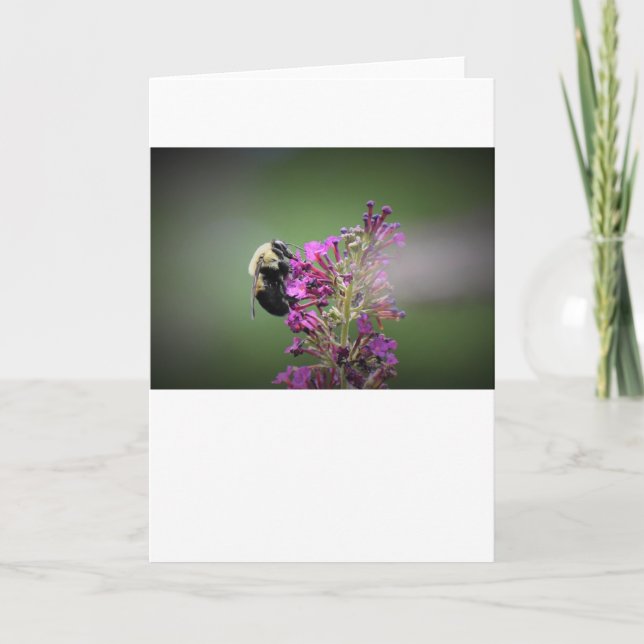 Abeille, carte (Devant)