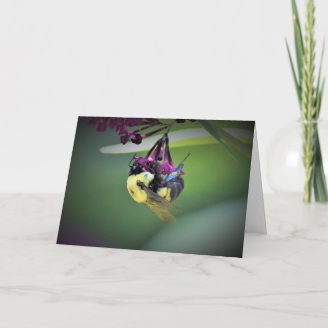 Abeille, carte (Devant)