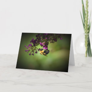 Abeille, carte
