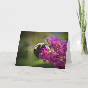 Abeille, carte