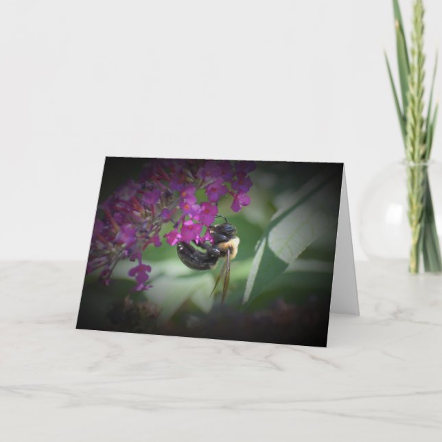 Abeille, carte (Devant)