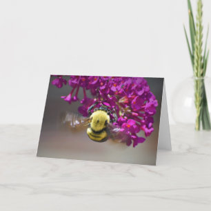 Abeille, carte