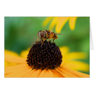 Abeille de miel au centre de l'attention