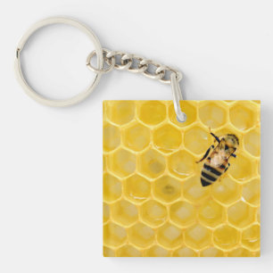 abeille et nid d'abeille