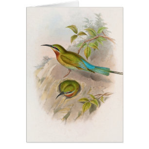Abeille philippine (1850-1883)