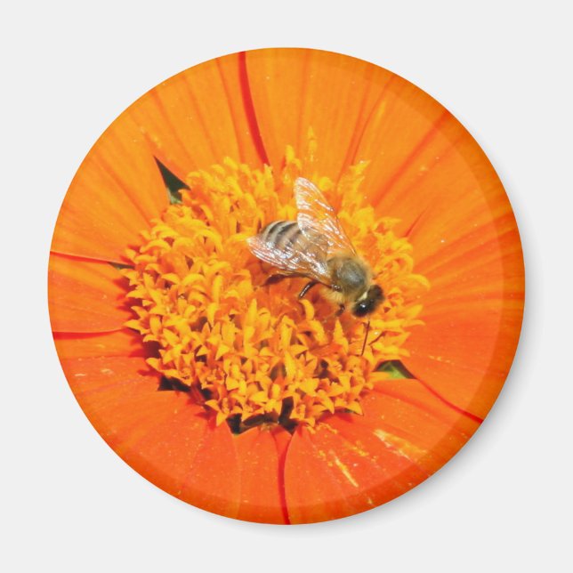 abeille sur aimant orange (Devant)