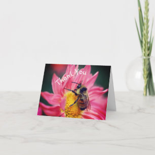 Abeille Sur Carte de remerciements Rose Daisy
