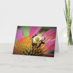 Abeille sur coneflower, carte