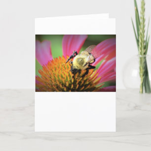 Abeille sur coneflower, carte