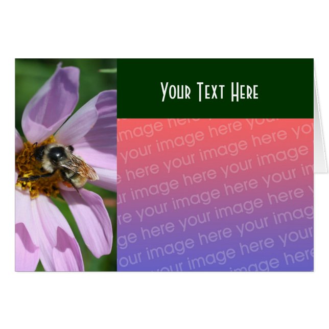 Abeille sur Cosmos Flower Nature Carte photo (Devant horizontal)