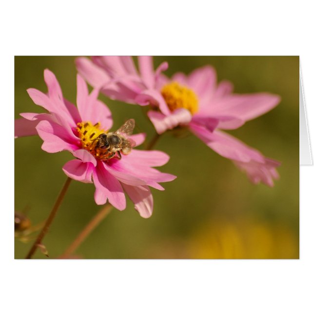 Abeille sur fleur (Devant horizontal)
