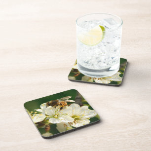 Abeille sur Fleur de Prunier Dessous de Verre en P