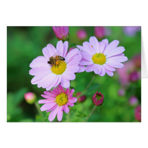 Abeille Sur Fleur Violet Blanc À L'Intérieur Carte