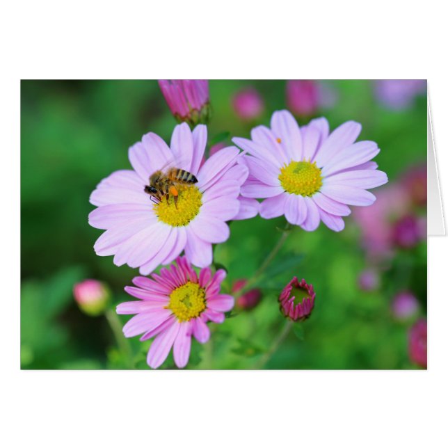 Abeille Sur Fleur Violet Blanc À L'Intérieur Carte (Devant Horizontal)