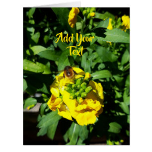 Abeille sur fleurs jaunes
