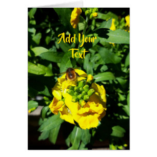 Abeille sur Fleurs Jaunes