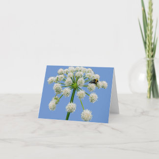 Abeille sur la carte de fleur d'angelica