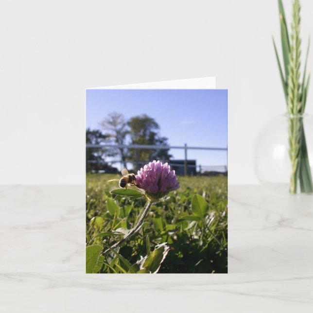 Abeille sur le carte pour notes de trèfle (Devant)