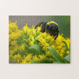 Abeille sur le Puzzle des fleurs jaunes
