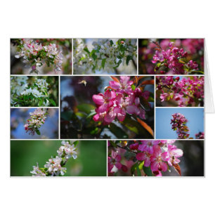 Abeilles de fleurs et de miel d'Apple