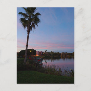 Abend am Palmenbaum Postkarte