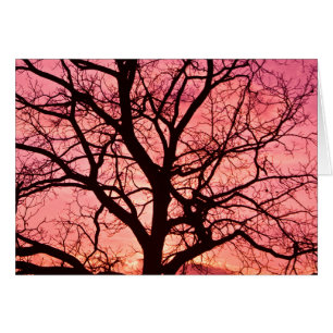 Abend Blush Tree Silhouette