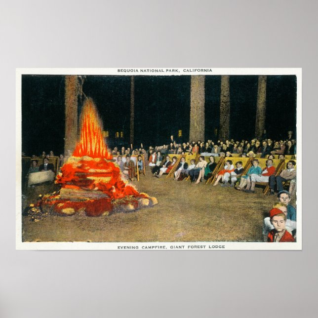 Abend Bonfire im Riesenwaldhaus Poster (Vorne)