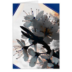 Abend Cherry Blossom Blank Card