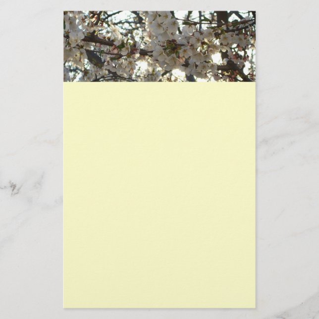 Abend Cherry Blossoms II Frühjahr Sonnenuntergang Briefpapier (Vorderseite)