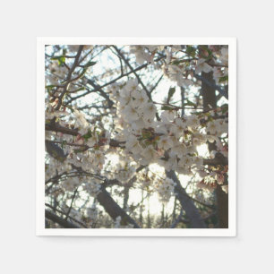 Abend Cherry Blossoms II Frühjahr Sonnenuntergang Serviette