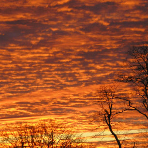 Abend Dream Notizbuch